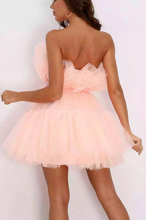 Mesh Elegant Bow Knot Tutu Dress