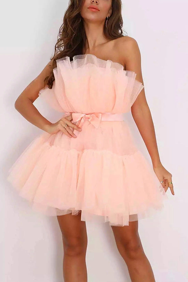 Mesh Elegant Bow Knot Tutu Dress