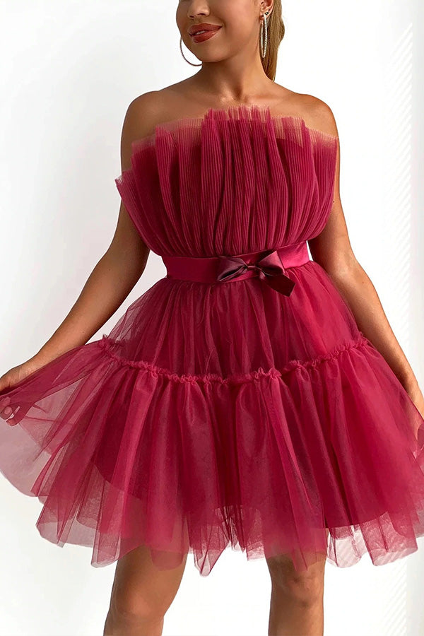 Mesh Elegant Bow Knot Tutu Dress