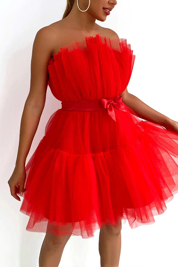 Mesh Elegant Bow Knot Tutu Dress
