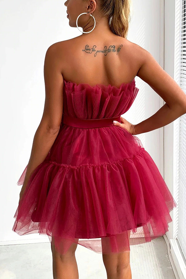 Mesh Elegant Bow Knot Tutu Dress