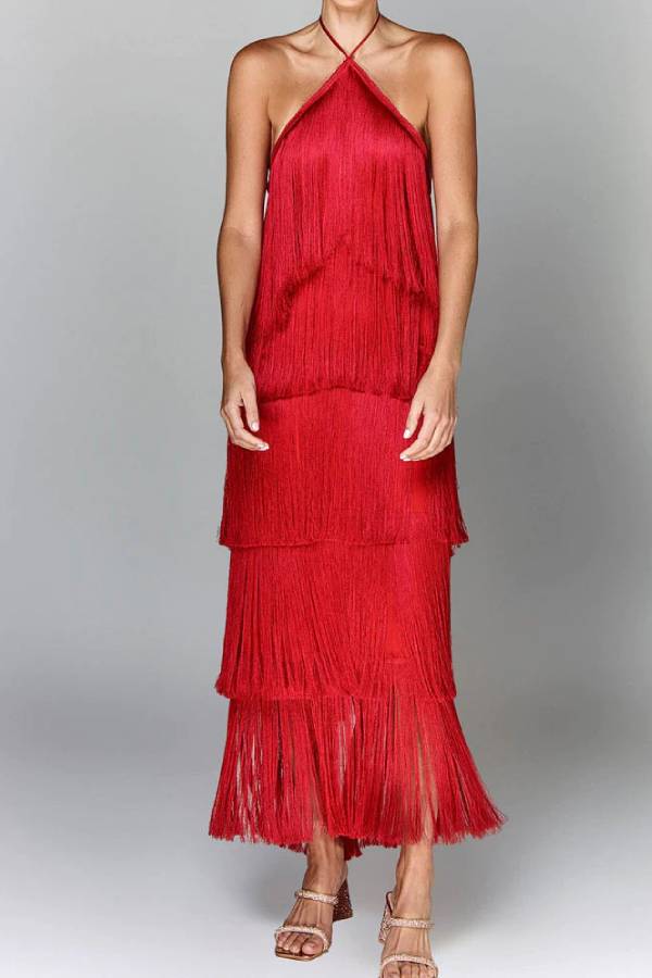 Stylish Fringed Dress