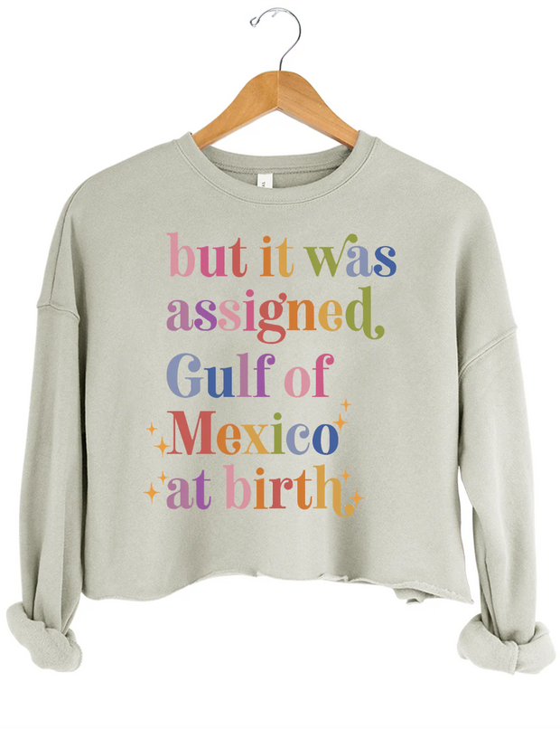But lt Was Assigned Gulf of Mexico at Birth Crop Sweatshirt