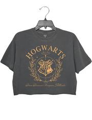 Hogwarts House Crop Top