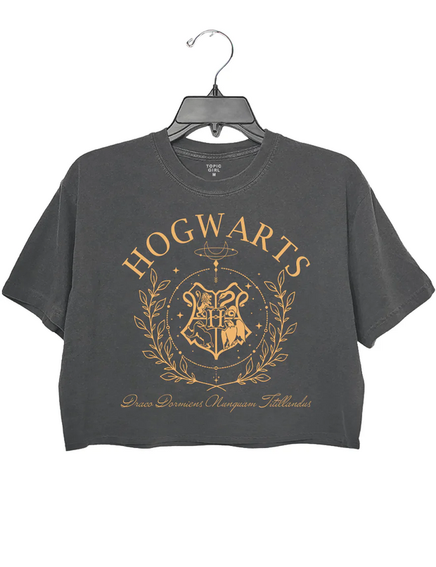 Hogwarts House Crop Top