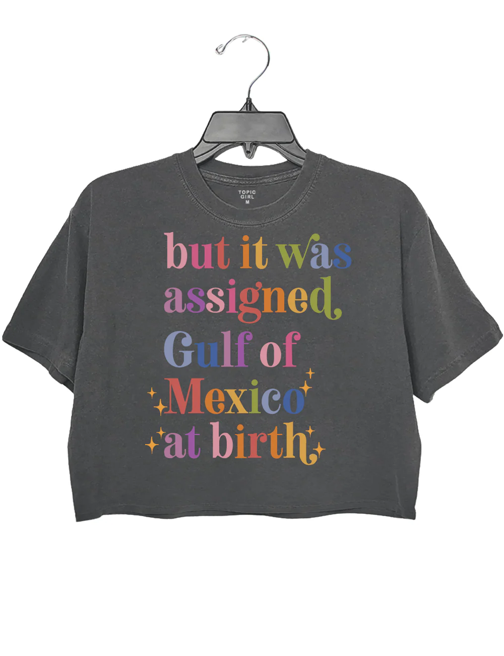 But lt Was Assigned Gulf of Mexico at Birth Crop Top