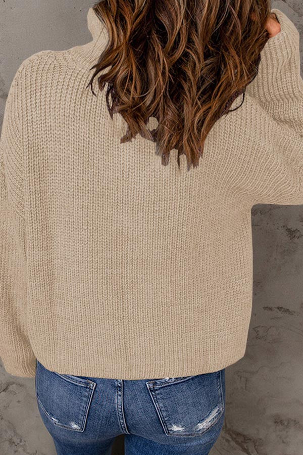pull ample à col roulé de couleur unie