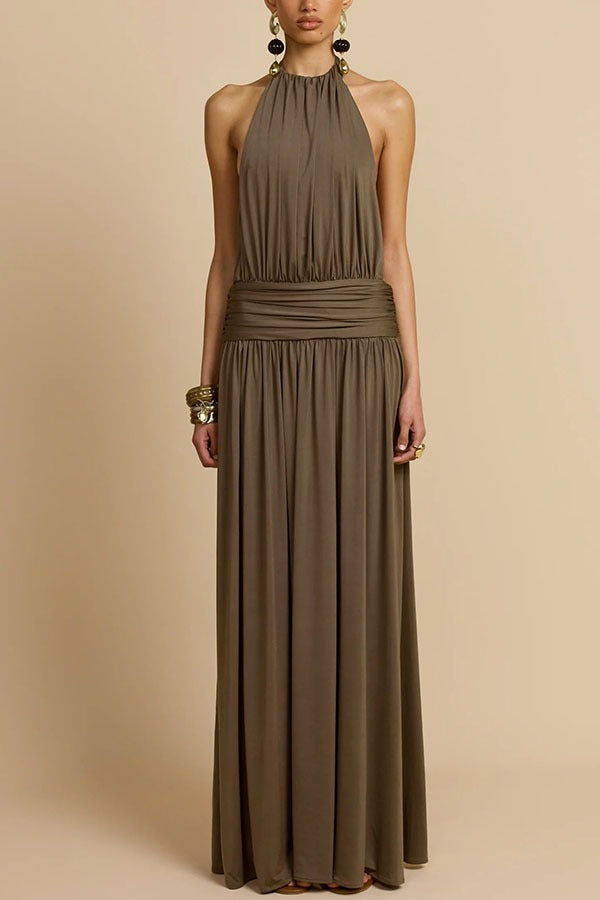 Confident Moments Halter Neck Ruched Waist Backless Maxi Dress