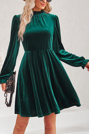 Turtleneck Long Sleeve Velvet Mini Dress