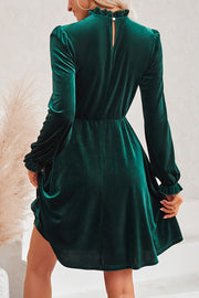 Turtleneck Long Sleeve Velvet Mini Dress