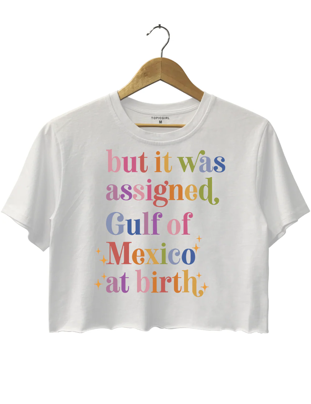 But lt Was Assigned Gulf of Mexico at Birth Crop Top