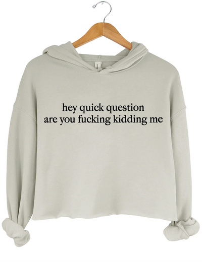 Hey Quick Question Are You Fucking Kidding Me Crop Hoodie
