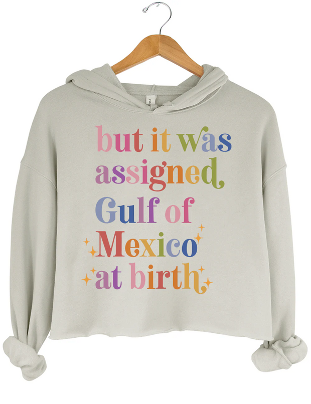 But lt Was Assigned Gulf of Mexico at Birth Crop Hoodie
