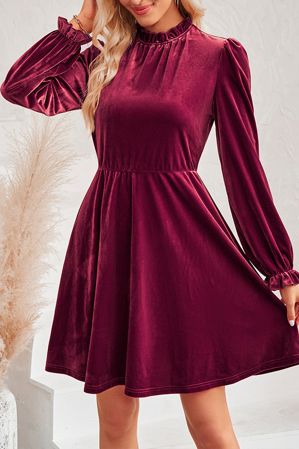 Turtleneck Long Sleeve Velvet Mini Dress