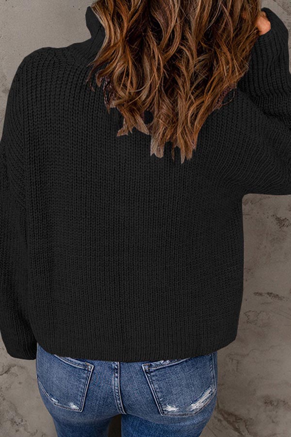 pull ample à col roulé de couleur unie