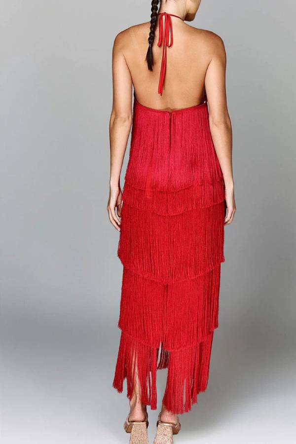 Stylish Fringed Dress