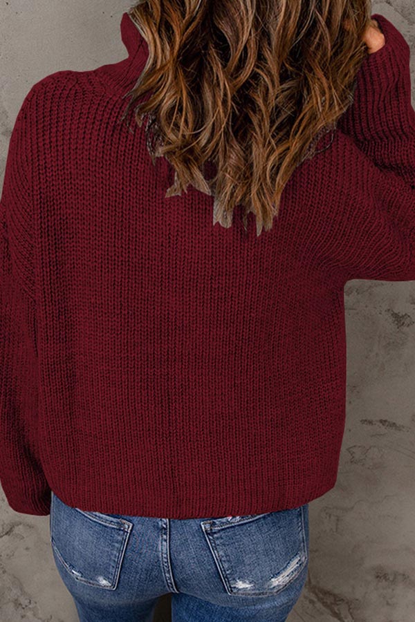 pull ample à col roulé de couleur unie