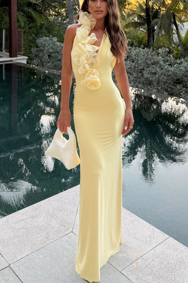 Robe longue extensible dos nu à volants et bordure Vacay Mode
