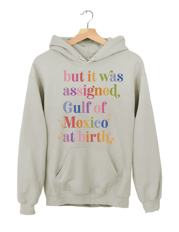 But lt Was Assigned Gulf of Mexico at Birth Hoodie