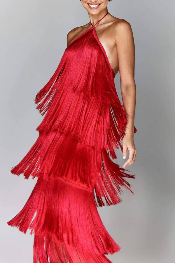 Stylish Fringed Dress