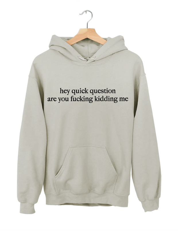 Hey Quick Question Are You Fucking Kidding Me Hoodie