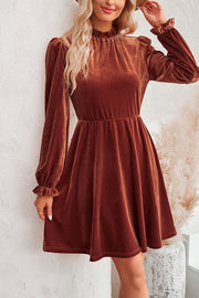 Turtleneck Long Sleeve Velvet Mini Dress