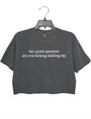 Hey Quick Question Are You Fucking Kidding Me Crop Top