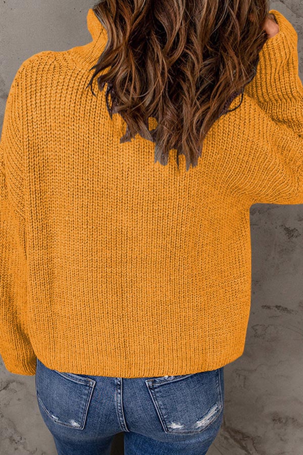 pull ample à col roulé de couleur unie