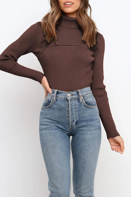 Turtleneck Bodycon Long Sleeves Knit Sweater
