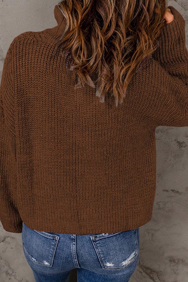 pull ample à col roulé de couleur unie