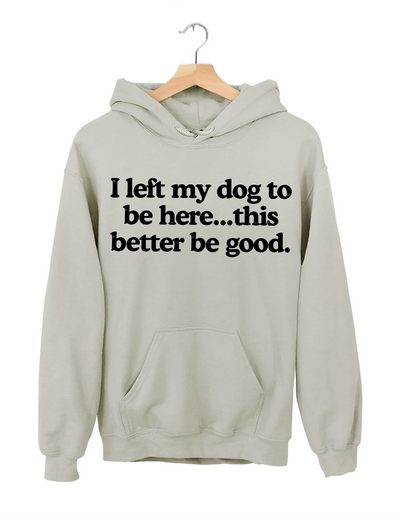 I Left My Dog To Be Here This Better Be Good Hoodie