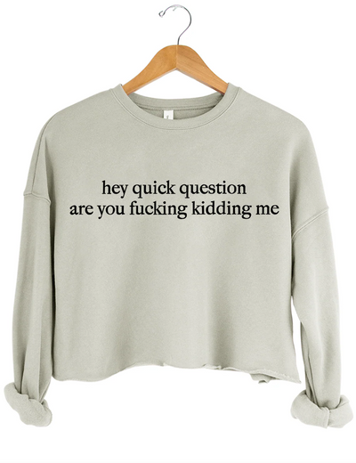 Hey Quick Question Are You Fucking Kidding Me Crop Sweatshirt