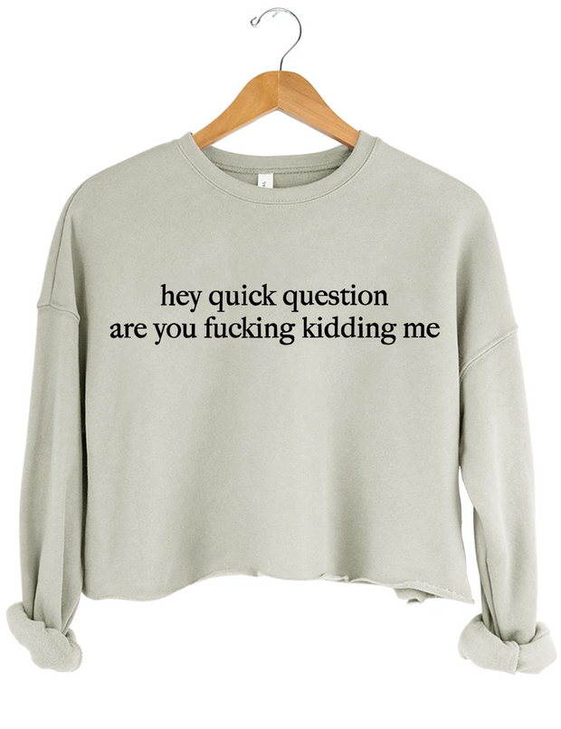 Hey Quick Question Are You Fucking Kidding Me Crop Sweatshirt