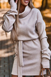 Casual Solid Frenulum Turtleneck One Step Skirt Dresses